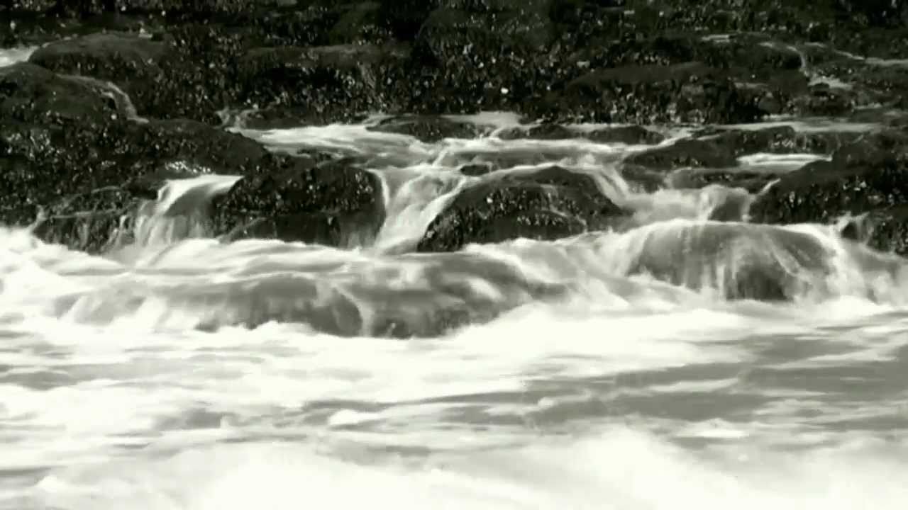 Making the Sewer a River Again - Why Mumbai must reclaim its Mithi