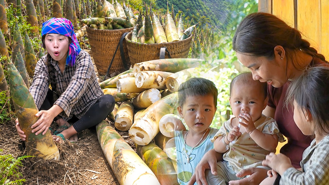 Traditional recipe: Duong harvested & made pickled bamboo shoots at home with Nhi, Khoi & Tuyet