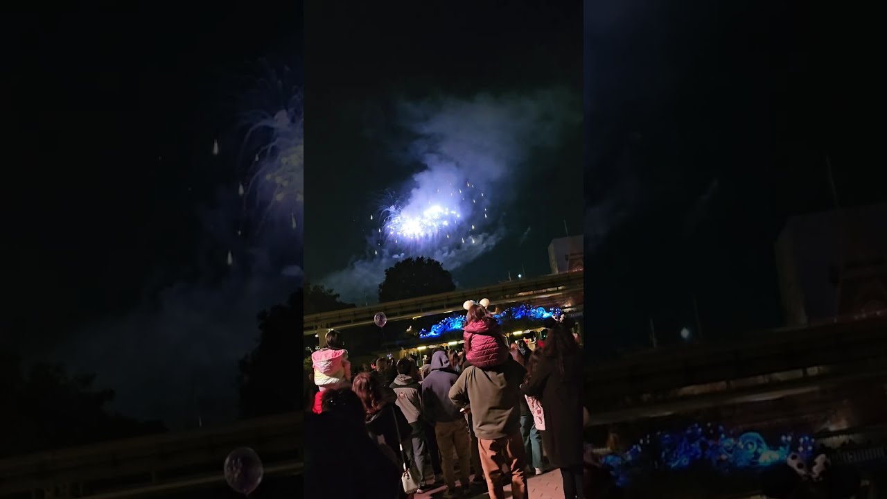 Disneyland Fireworks - Downtown Disney