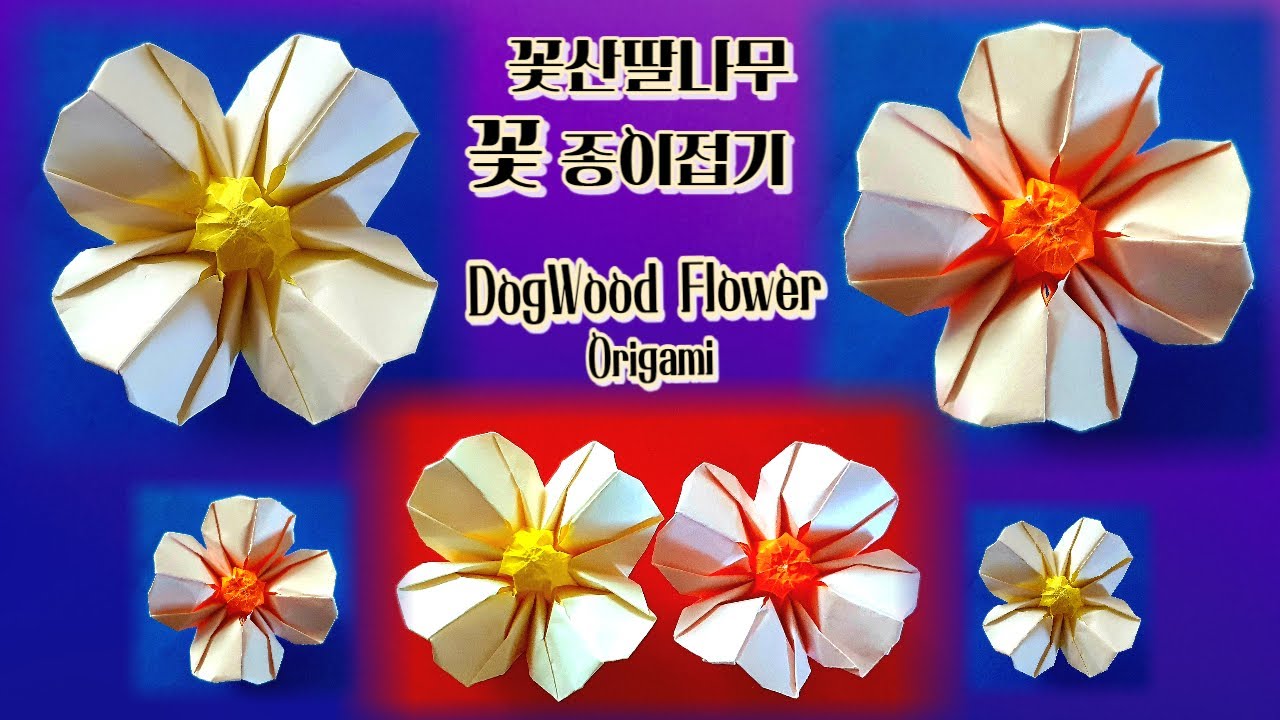 💮(1장)꽃산딸나무(예수나무)꽃 종이접기💮DogWood Flower Origami💮