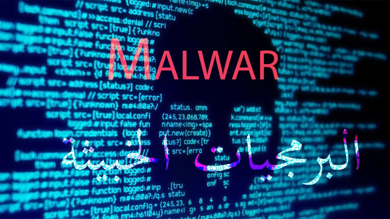 انواع البرمجيات الخبيثة malware وكيفية عملها فى أقل من ساعة