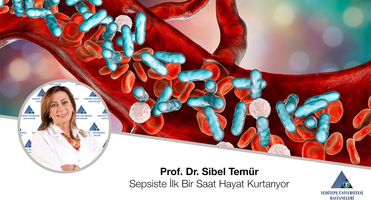Sepsiste İlk Bir Saat Hayat Kurtarıyor / Prof. Dr. Sibel Temür