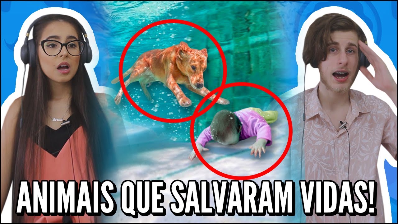 JOVENS REAGEM A 10 ANIMAIS HERÓIS QUE SALVARAM VIDAS DE HUMANOS - BRAIN TIME