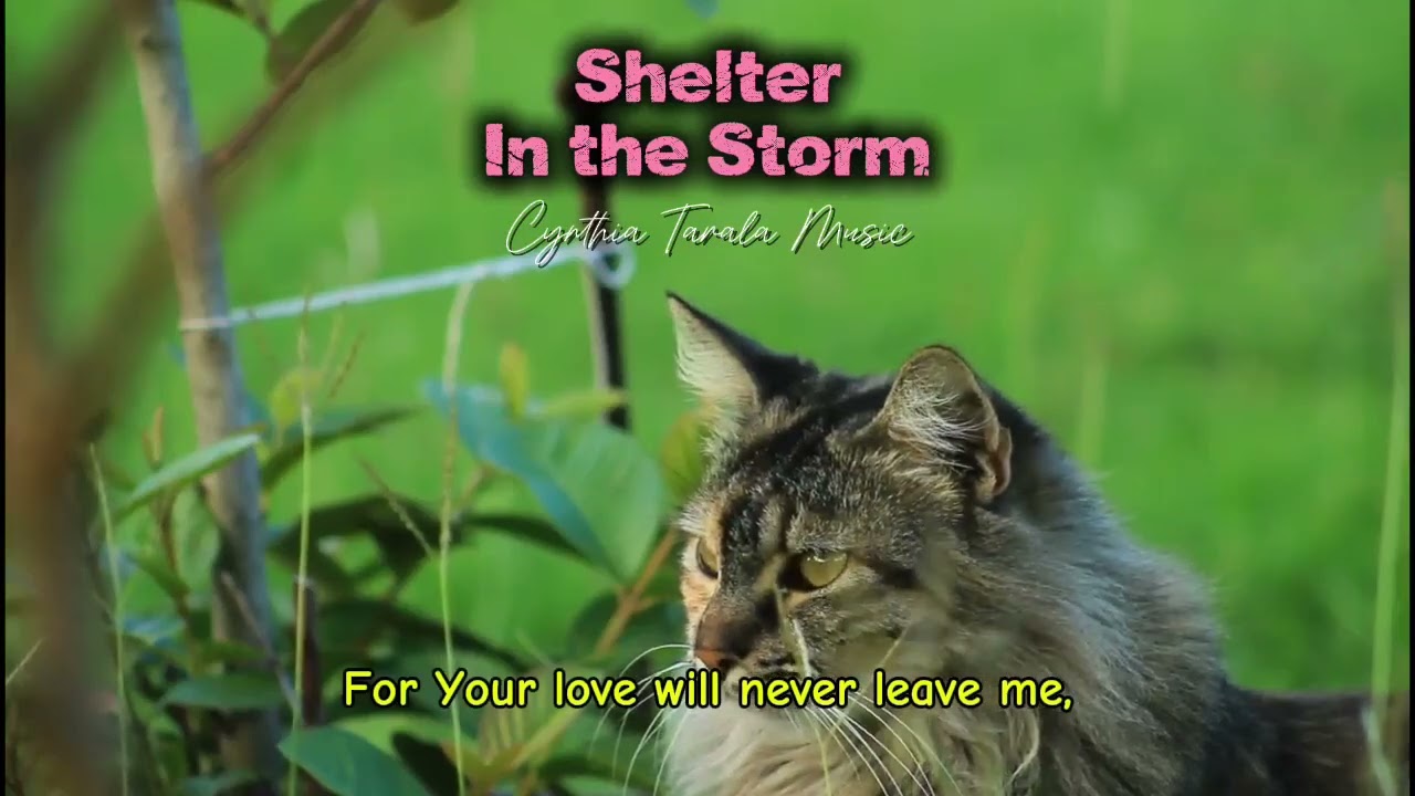 Shelter in the Storm | Lyrics @CynthiaTarala-f5z 
