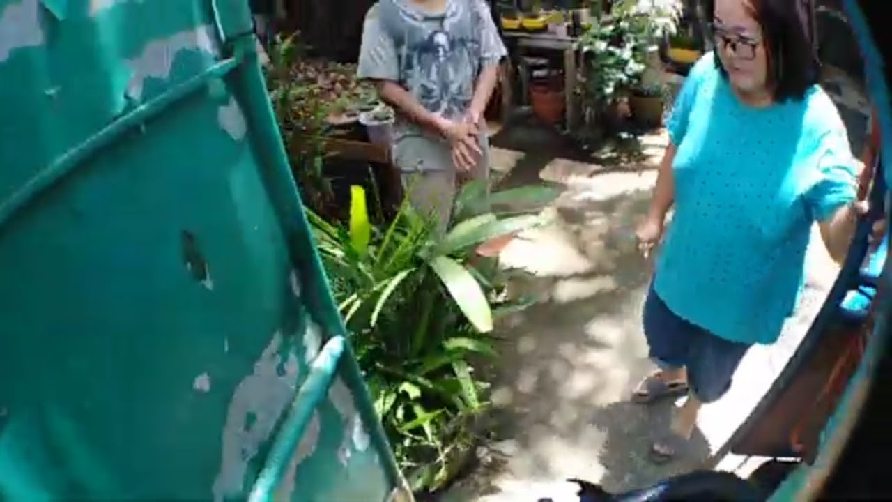 Delivering koi fish to customer house