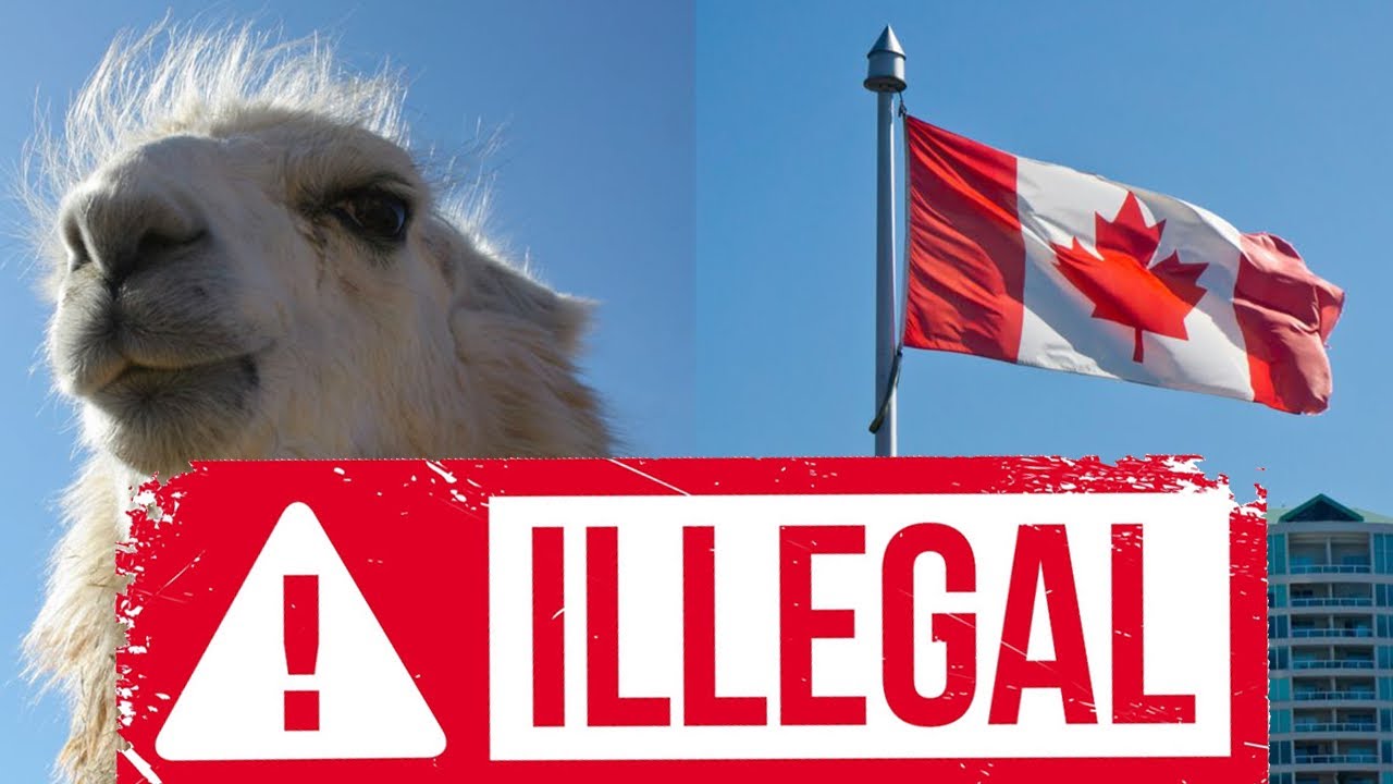 The Weird and Crazy Laws of Canada || #ontario Edition