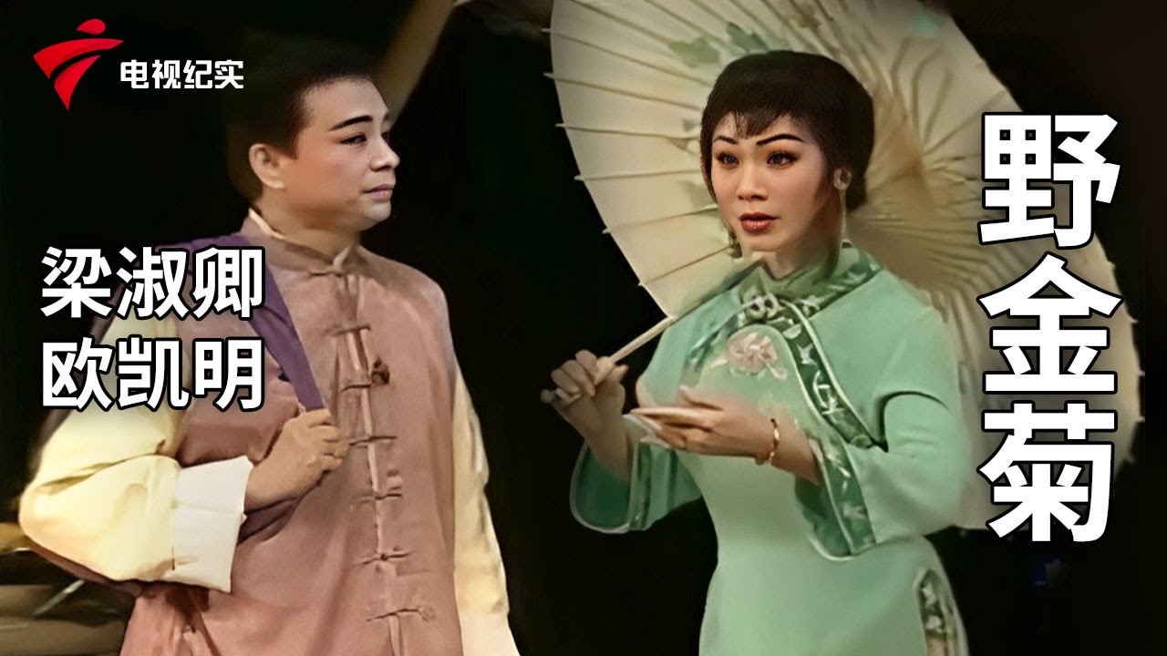 《野金菊》梁淑卿、欧凯明【剧场连线】