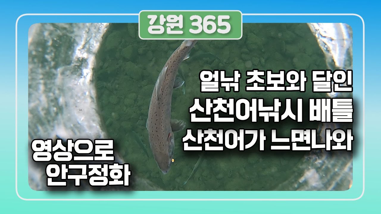 [강원365]단 2분만에 낚시초보가 얼음낚시 달인...2020년 화천 산천어축제 , 산천어 낚시 꽝 없는 대박  꿀팁(feat.노지현 아나운서)