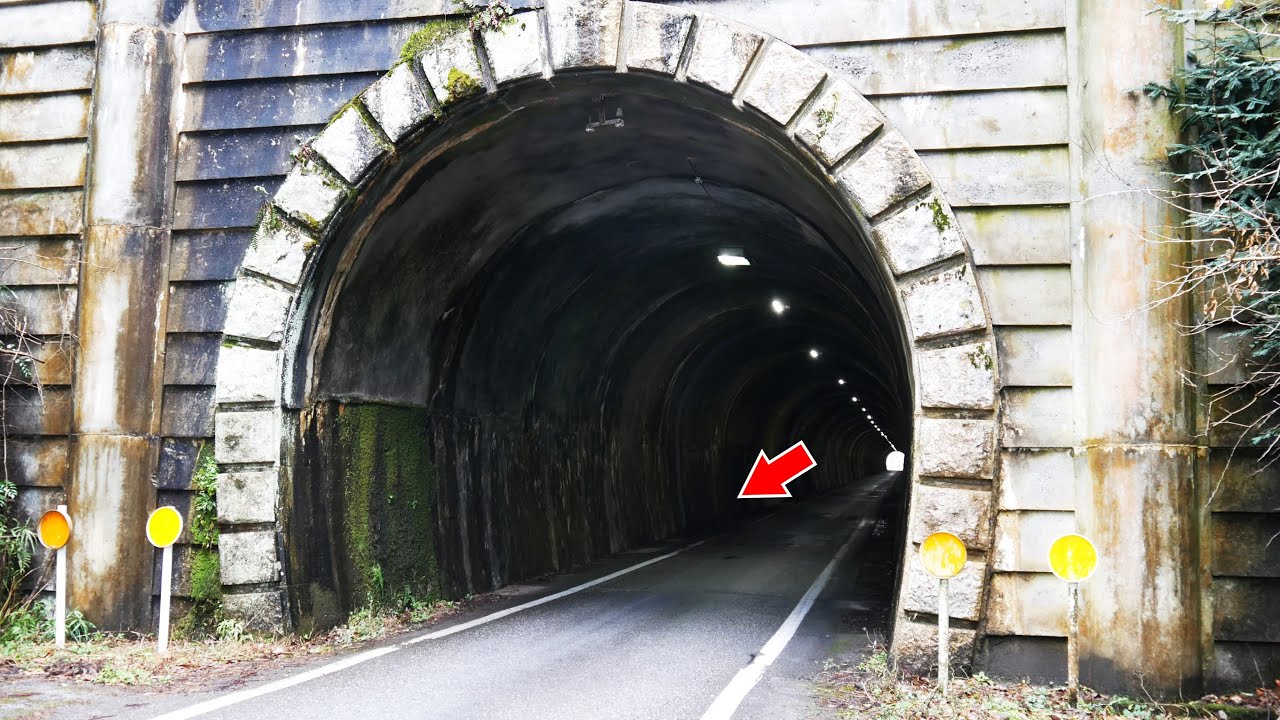 トンネルの中で変なエビが大量発生している