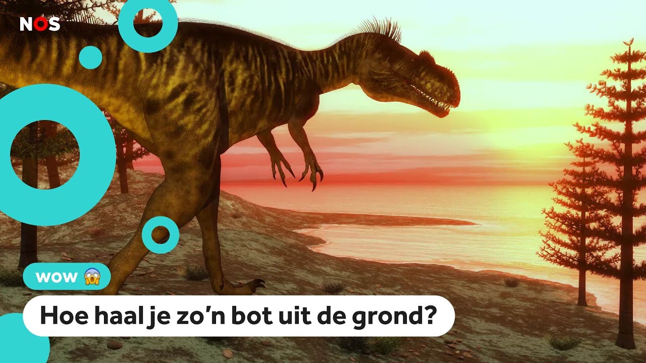 Precies 200 jaar geleden werd het eerste dinobot ontdekt