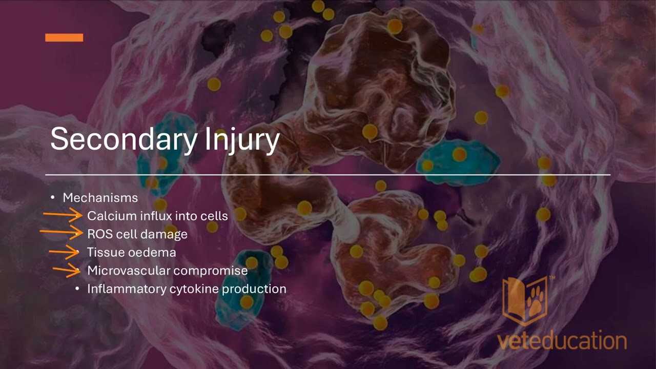 Emergency Management of Spinal Trauma