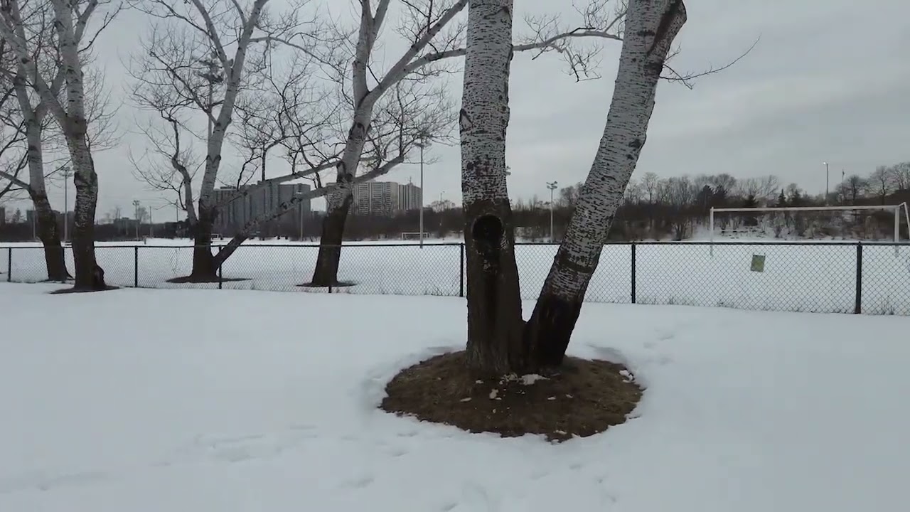 #4K Exploring Toronto Eglinton Flats; Surprisingly, No Tobogganing Allowed & Unusually Very Quiet