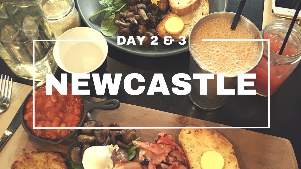Australia Vlog - Day 2 & 3 - HUNTER VALLEY & NEWCASTLE - Brunch, Dessert, Dinner, Breakfast (EP 20)