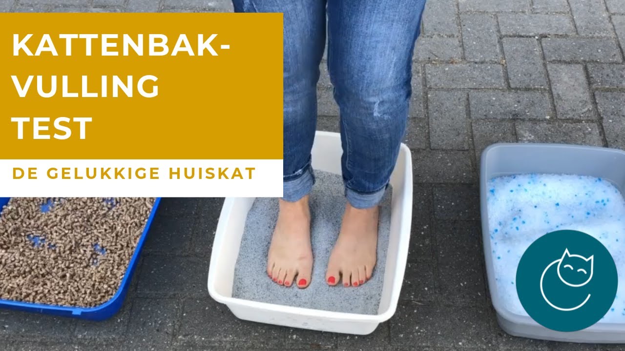 DE KATTENBAKVULLING TEST - De gelukkige huiskat - Kattengedrag