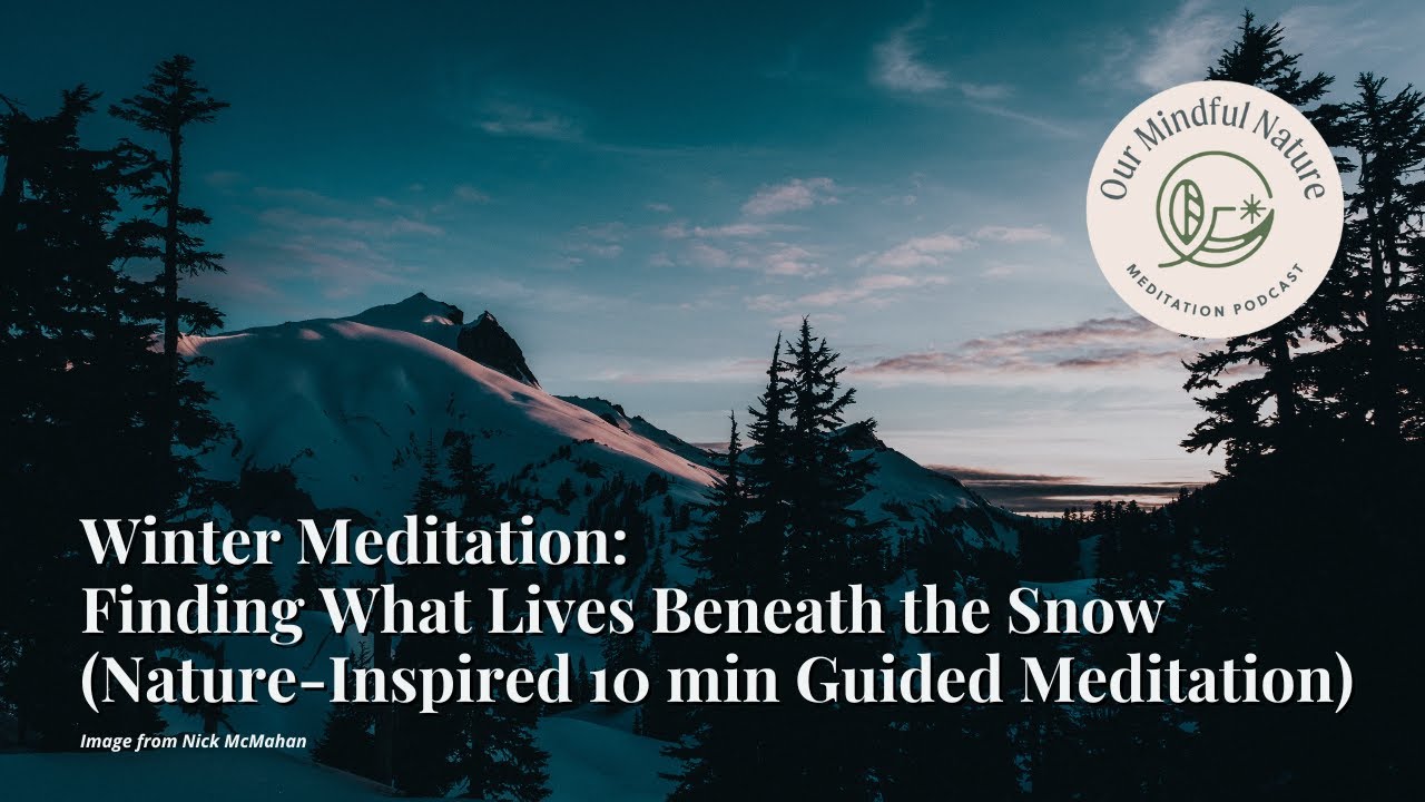Winter Meditation: Finding What Lives Beneath the Snow (Nature-Inspired 10 min Guided Meditation)