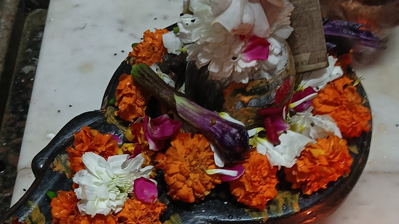कमलेश्वर महादेव लाइवदर्शन#आराधना-दर्शन01#शिवा मंदिर लाइव दर्शन