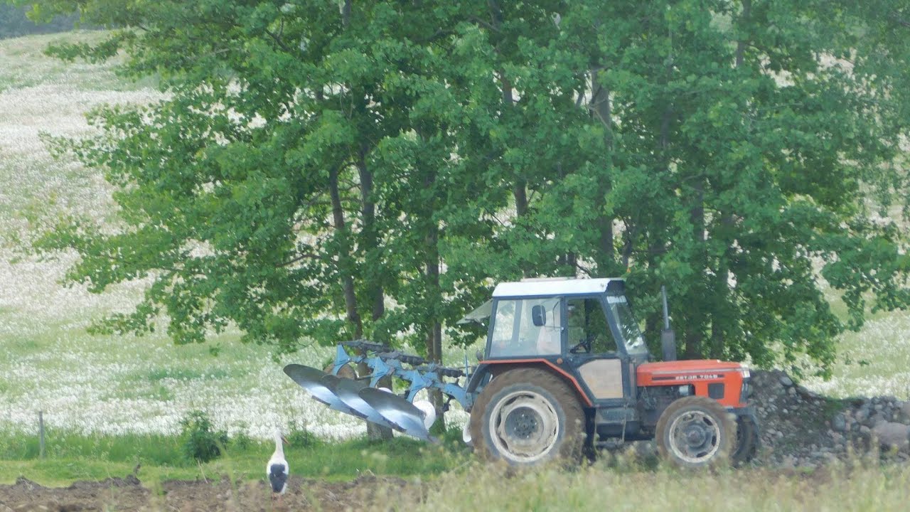 Orka łąki czyli testy nowego nabytku- Zetor & Overum B387