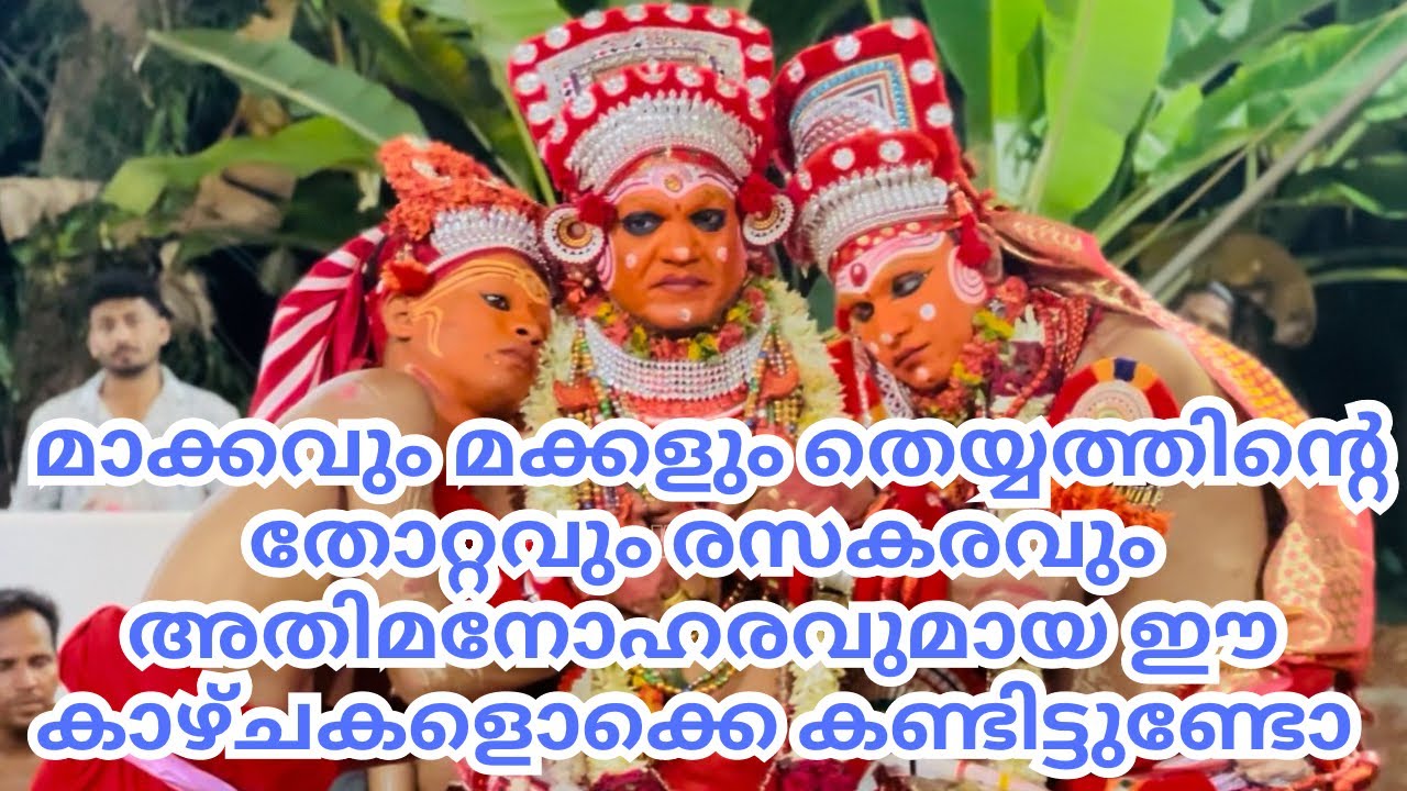 മാക്കത്തിന്റെയും ചീരുവിന്റെയും ചാത്തുവിന്റെയും രസകരവും മനോഹരവുമായ കാഴ്ചകൾ |MAKKAVUM MAKKALUM |