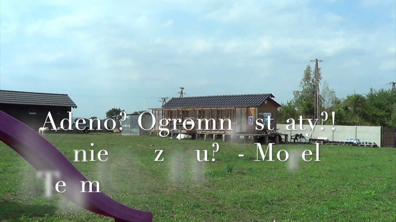 Adeno?!Ogromne straty?!Koniec sezonu?! - Morel Team