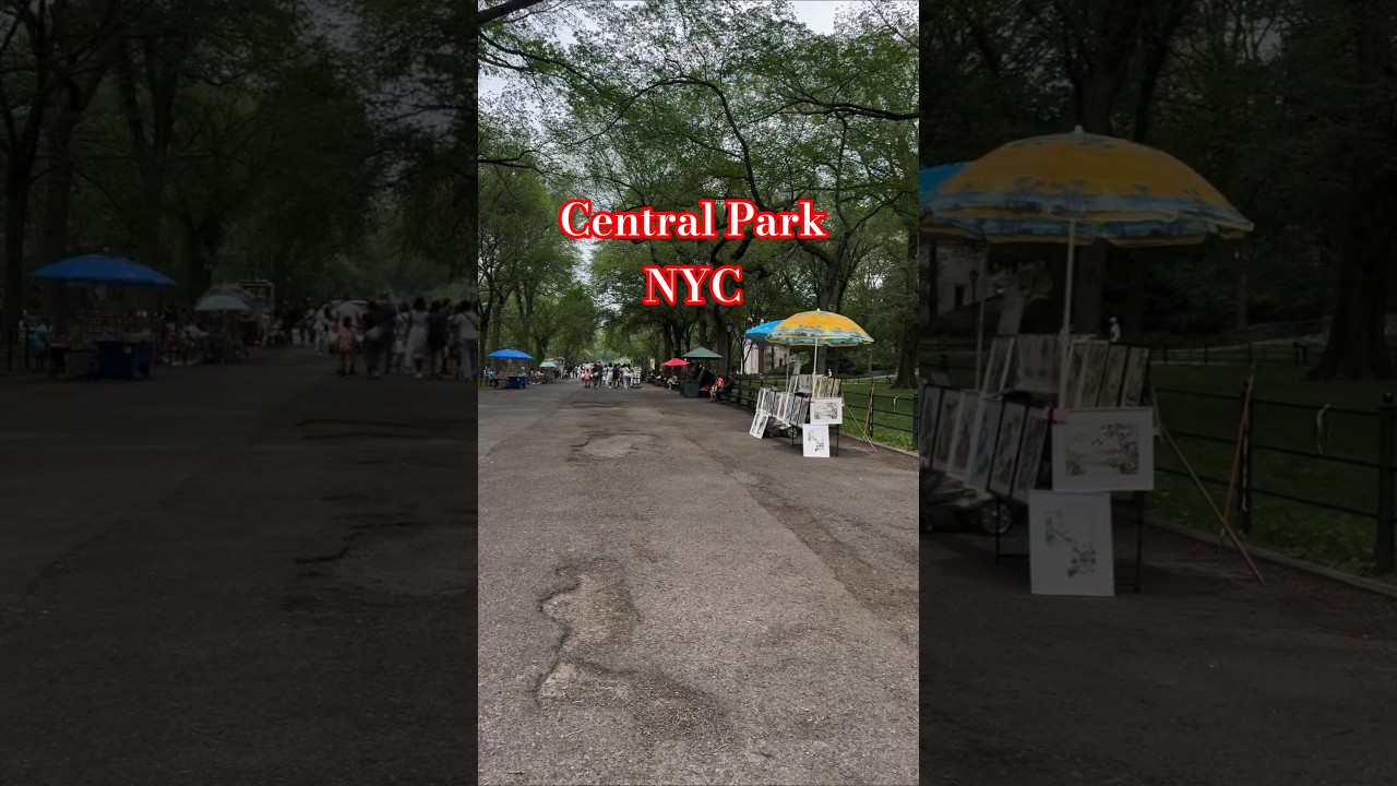 Exploring Central Park in 4K | The Heart of New York City #newyorkcity #centralpark