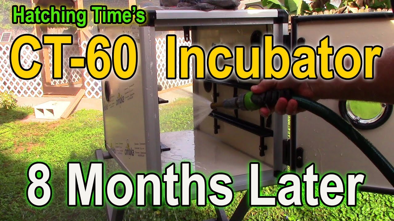 Hatching Time's CT-60 Follow up -  8 Months Later