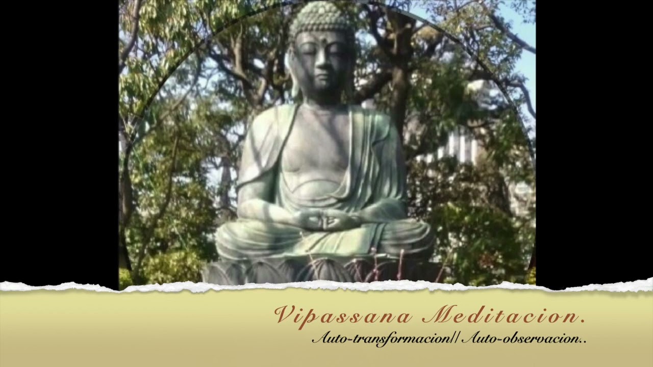 DIA 4/10 Goenka CURSO,   VIPASSANA MEDITACION.