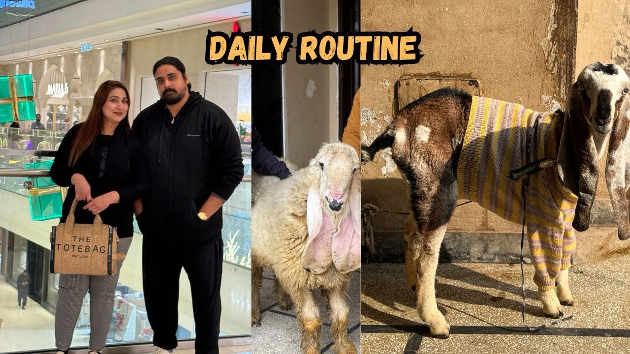 Daily routine | iftari | bagga ny dhor lgai @NehaMughal7 