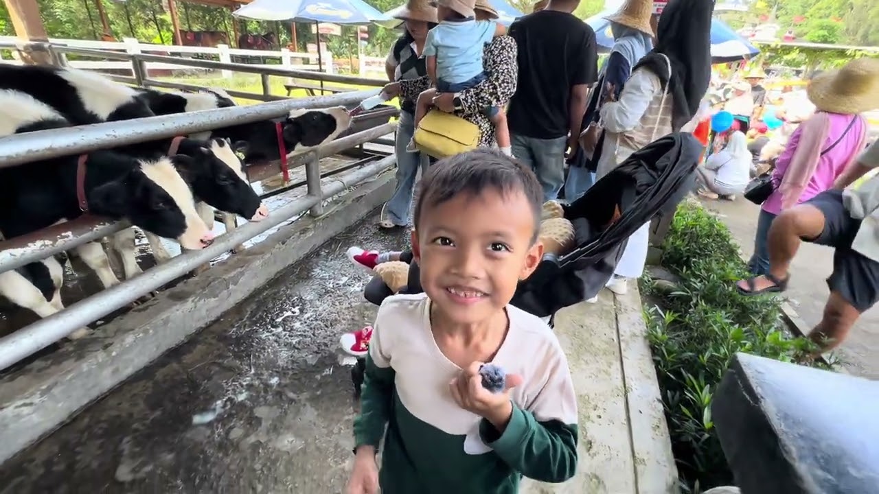 Dairyland Farm Theme Park Bogor Puncak