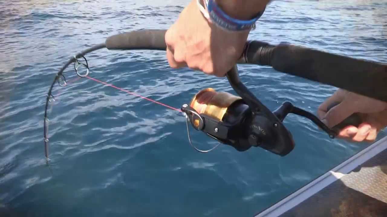 Fishing and Adventure Season 2 Episode 3 - Mokau