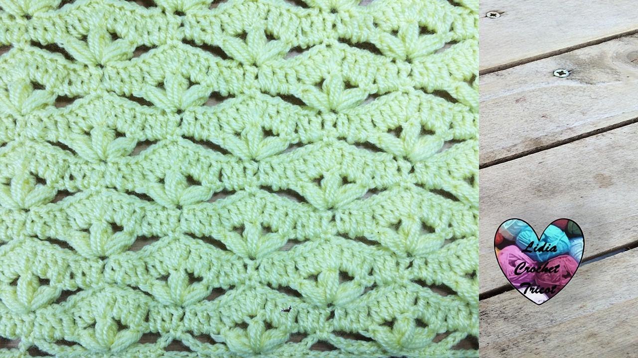 Crochet Point fleuri zig-zag pour couvertures