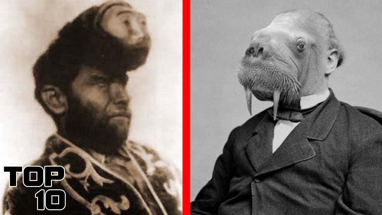 Top 10 Unsettling Human Hybrid Stories That Might Be Real