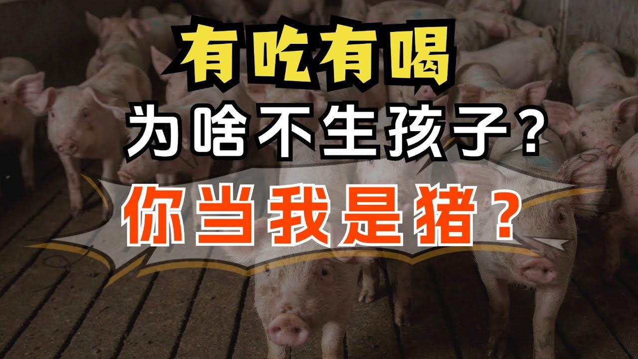 年轻人为啥不生孩子？