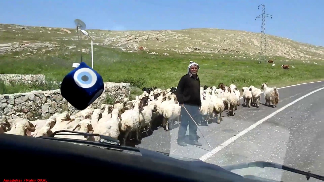 42-MARDİN /NUSAYBİN /AKARSU (STILİLE )