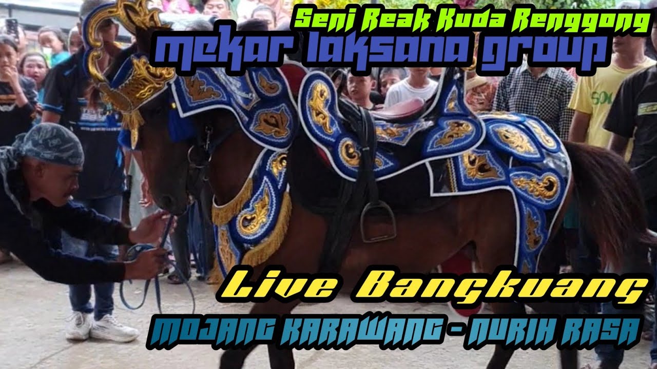 MOJANG KARAWANG - NURIH RASA - KUDA RENGGONG MEKAR LAKSANA GROUP ‼️ LIVE BANGKUANG RANCAEKEK 