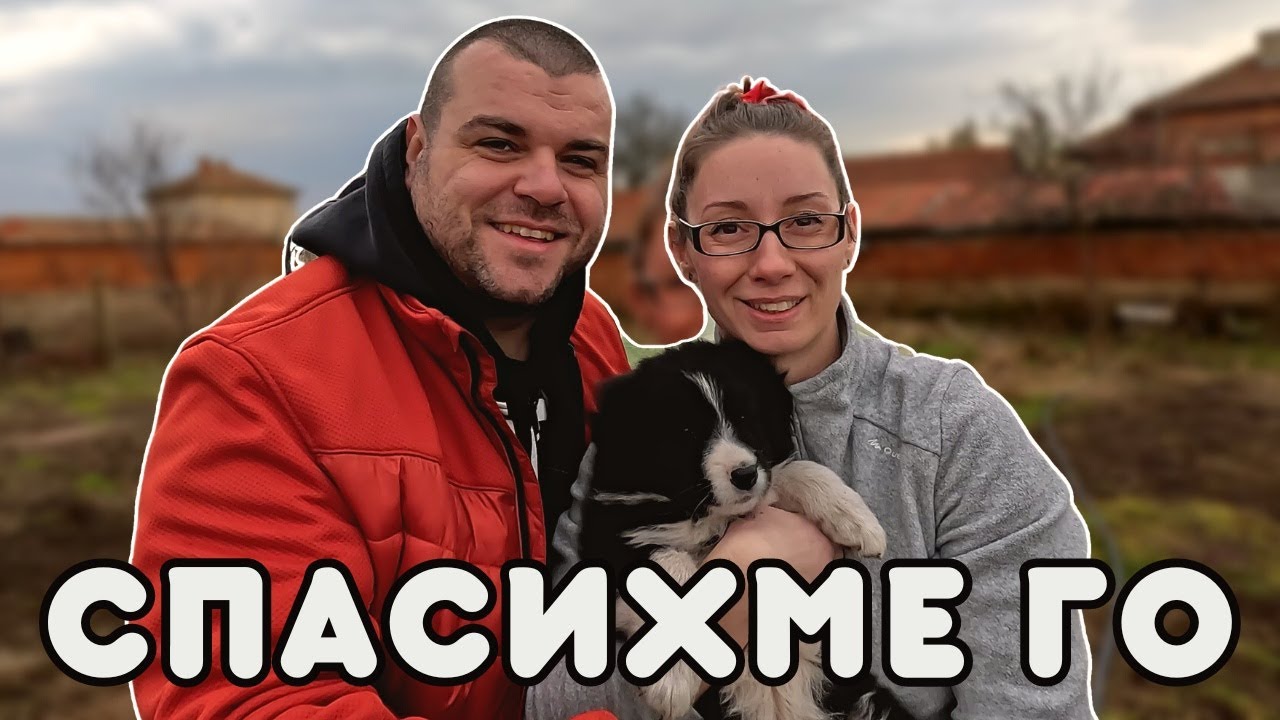 НОВИЯТ член на СЕМЕЙСТВОТО | Milchevi BG
