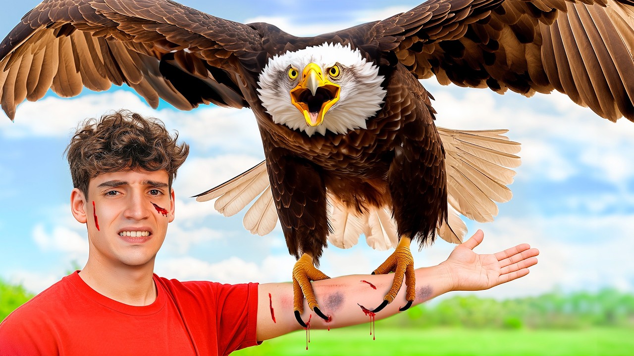 🩸Mi Nuevo &Aacute;guila es un Peligro y no Tiene Piedad🩸