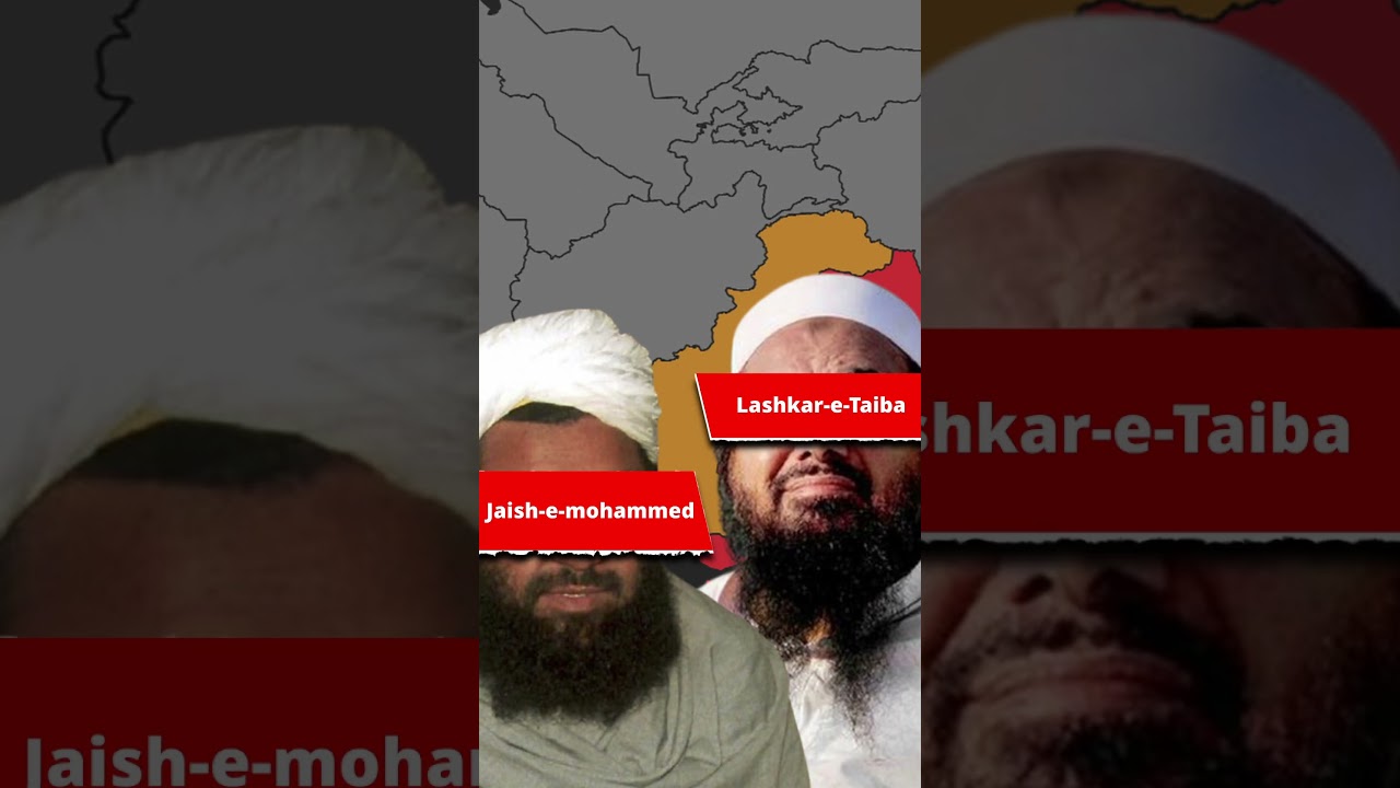 Why does Pakistan support Terror groups?