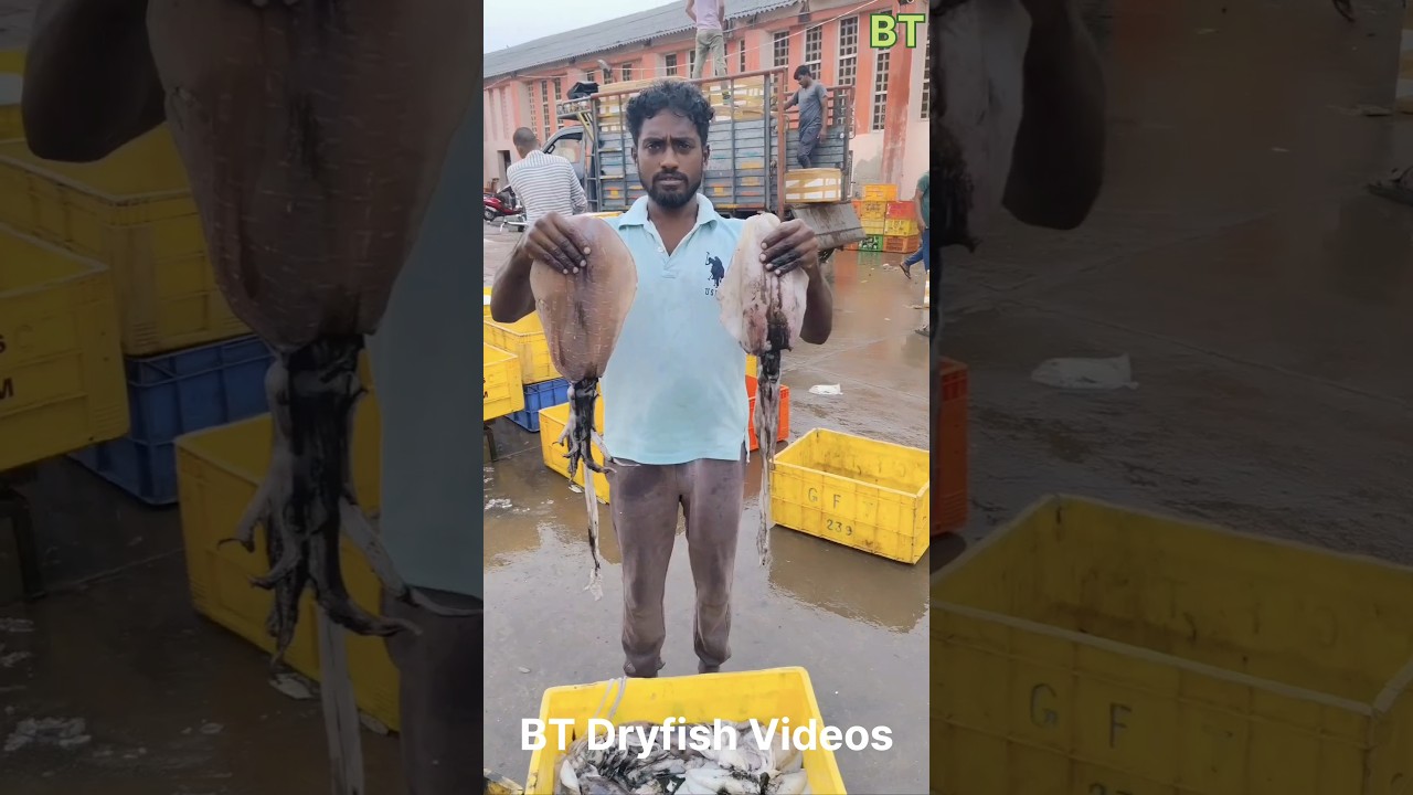 ఖండబయలు  #seafood #bt #best dryfish #food #foodshorts #village #BT dryfish👍👌😍