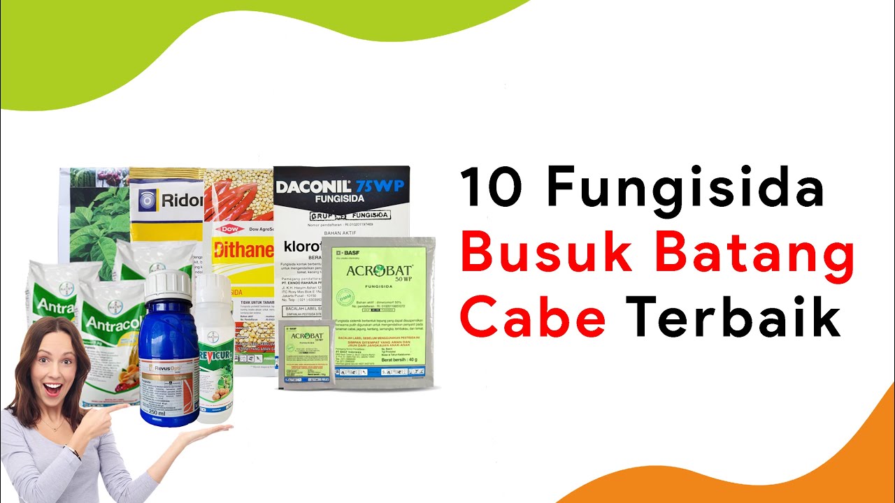 10 Fungisida Pencegah Busuk Batang Cabe, No 9 Penguat Batang