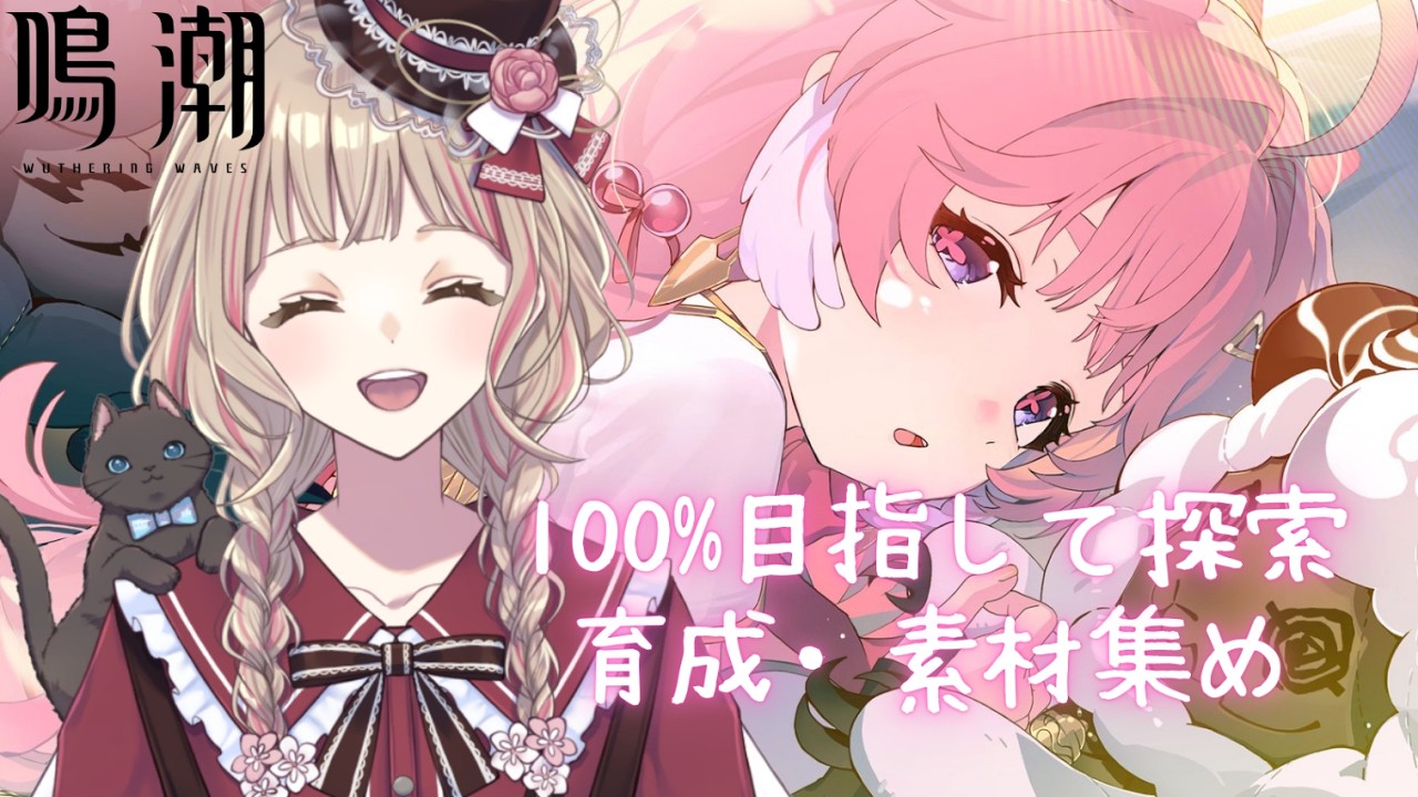 【鳴潮】100%目指して探索 育成・素材集め 全員レベル上げと編成組みたい もくもく作業配信