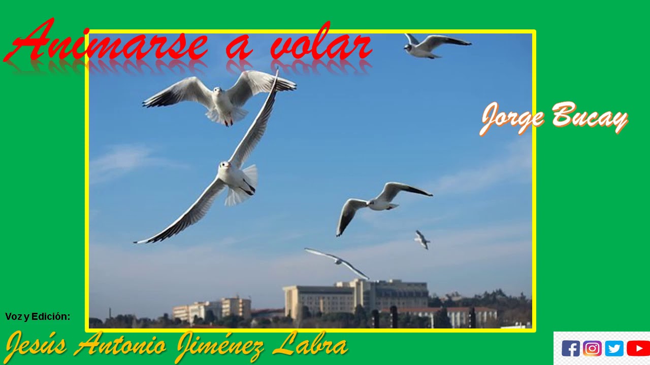 Animarse A Volar. Cuentos para pensar. Jorge Bucay.