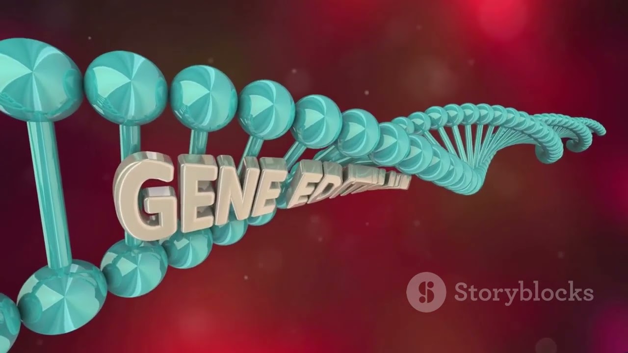 Die Synthetische Evolutionstheorie  Die Verbindung von Darwin mit der modernen Genetik