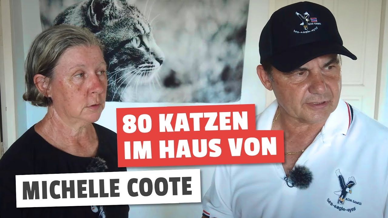 80 Katzen im Haus von Michelle Coote in Rayong / Thailand