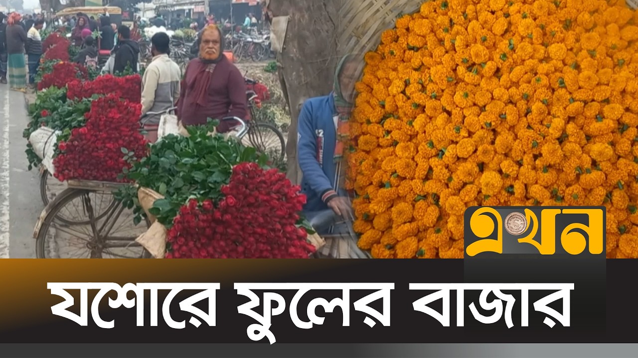 বিশেষ দিবসের প্রায় ৭০ শতাংশ ফুলের জোগান দেন যশোরের গদখালির চাষিরা | Jessore News | Ekhon TV
