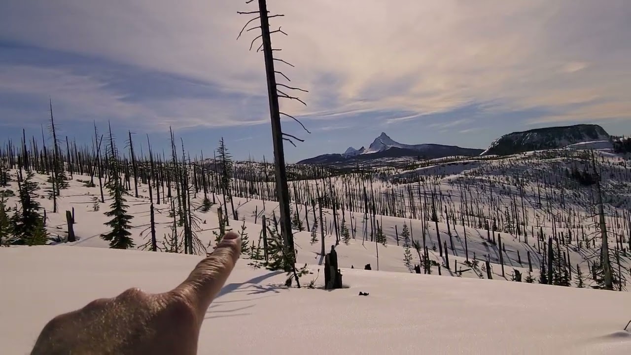 Santiam Pass Splitboard & Touring February 5th 2022
