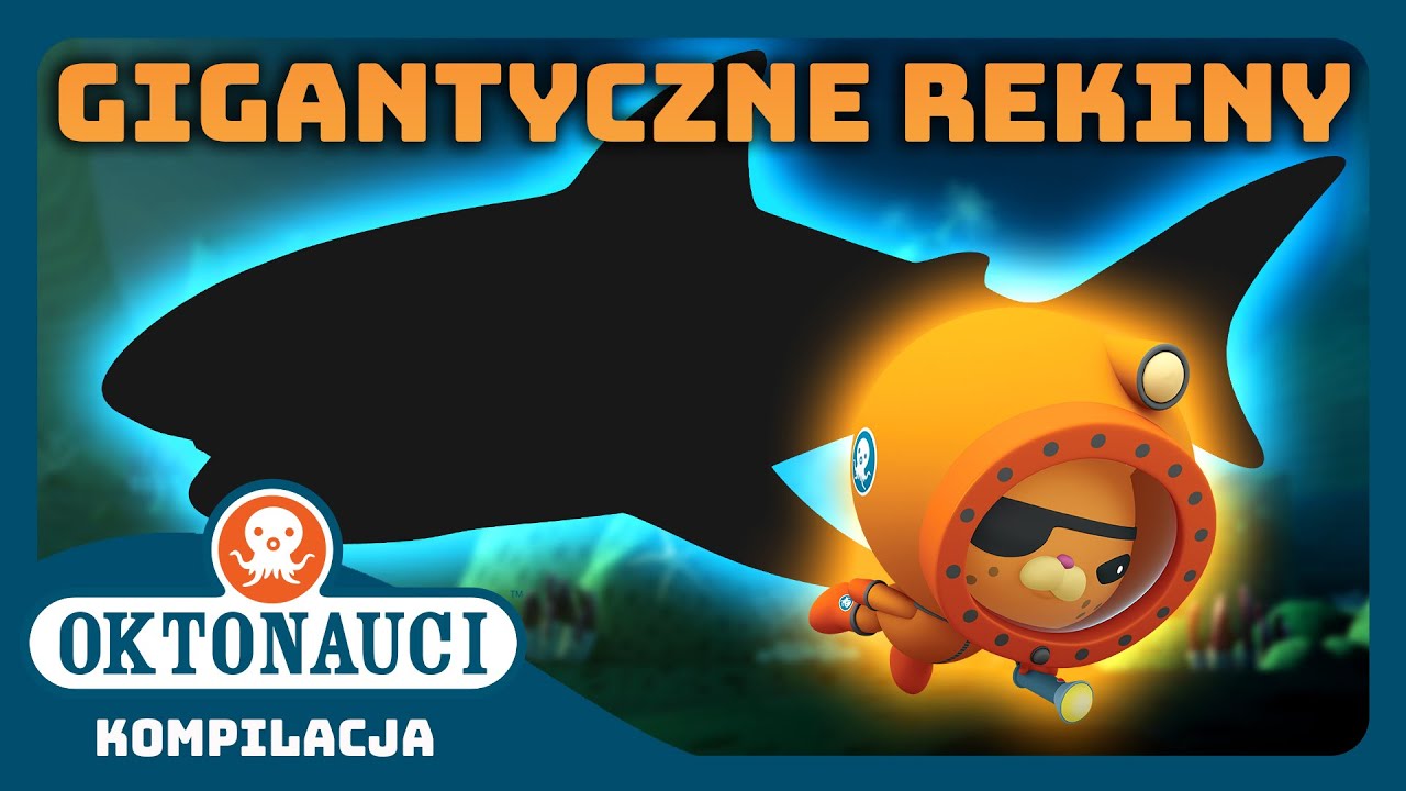 Oktonauci - 🦈 GIGANTYCZNE rekiny! 🦈 | Kompilacja | Całe odcinki