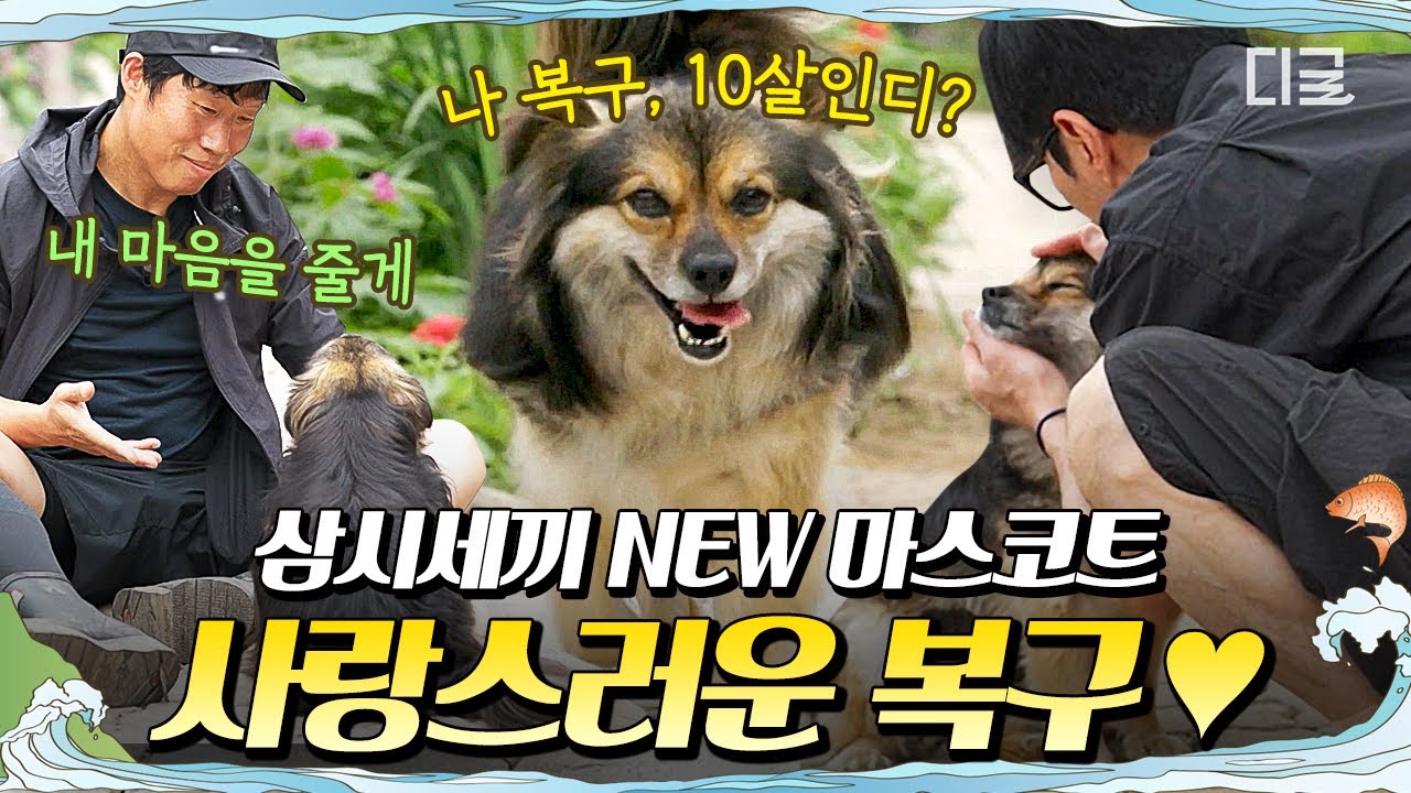 [#삼시세끼Light] 사람 좋아 강쥐 복구🐶 사실상 세끼집의 실세라고 볼 수 있음🤣