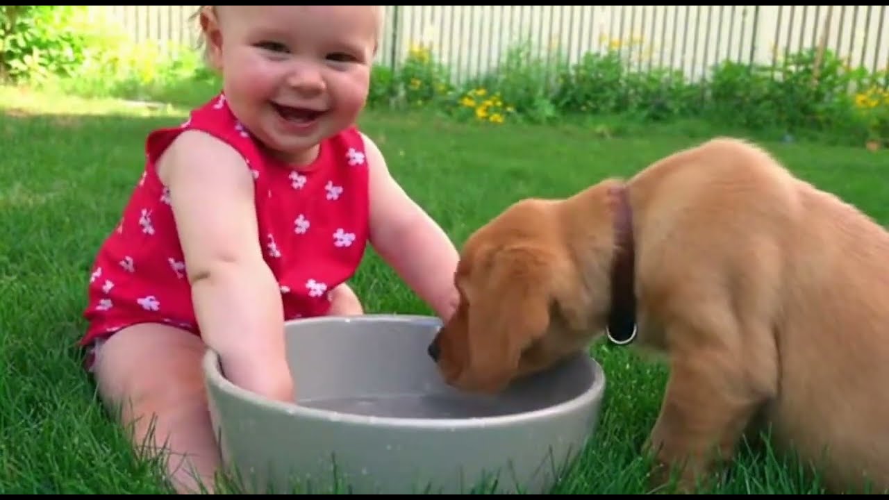 Don't watch this, because you'll laugh all day! | Baby and Dog 😂👶🐕
