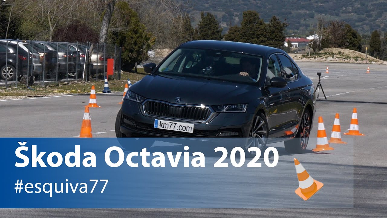 Škoda Octavia 2020 - Maniobra de esquiva y eslalon | Km77.com