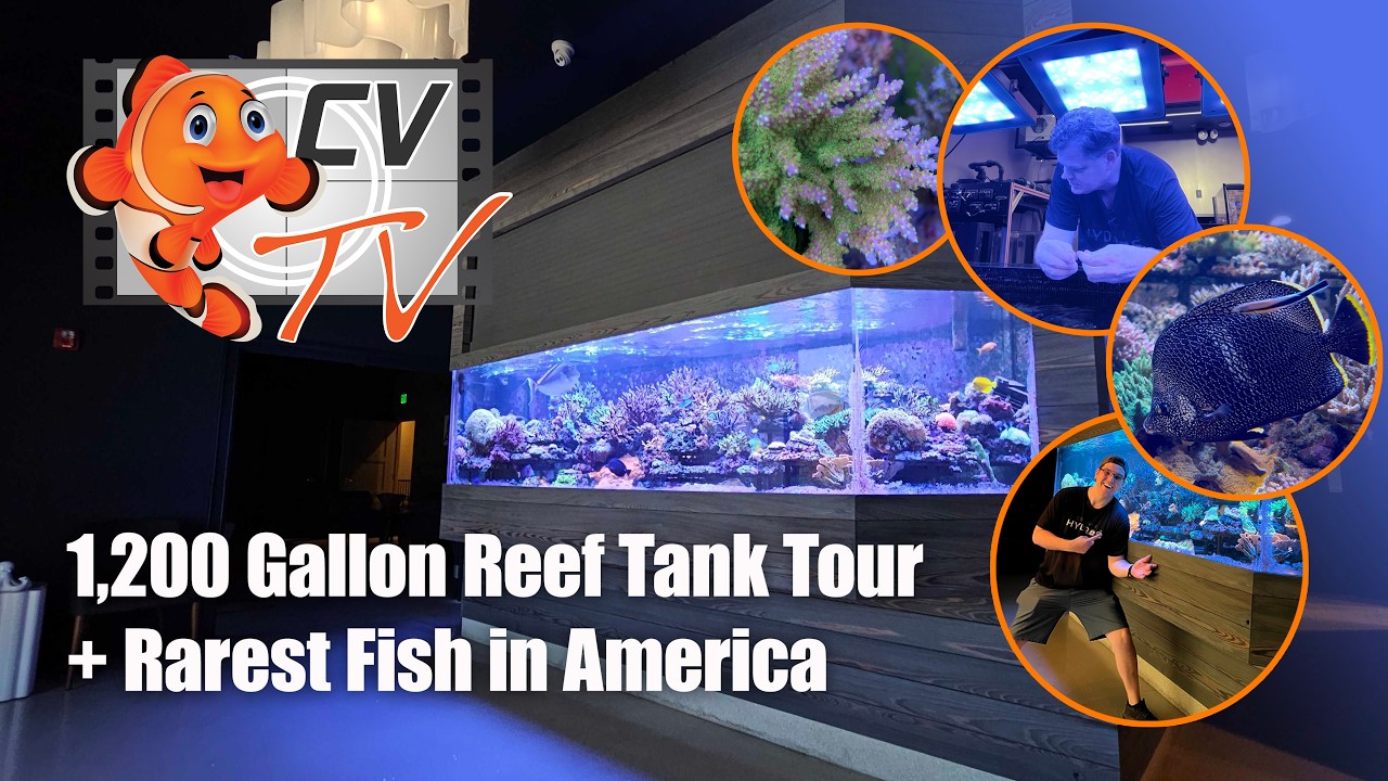 CoralVue's INSANE 1,200 Gallon Reef Tank Tour!